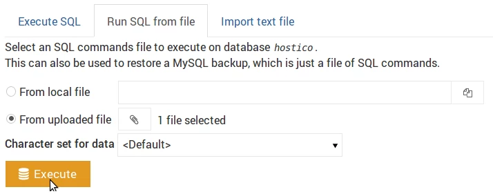 executare comanda sql