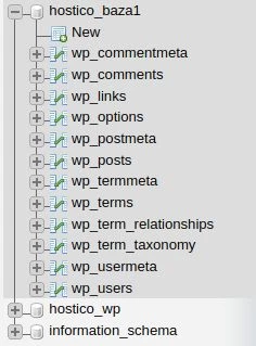 Afisare baza de date phpMyAdmin